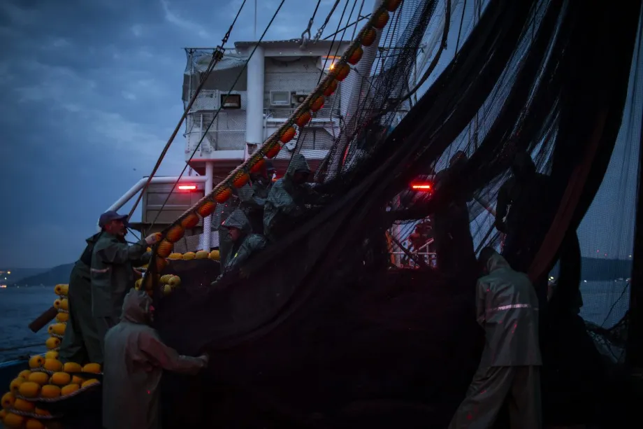 UN report – Middle East Monitor