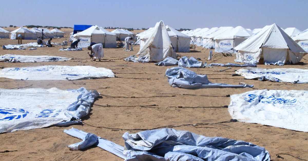 Sudan’s displaced and exhausted doctors treat fellow El-Fasher survivors