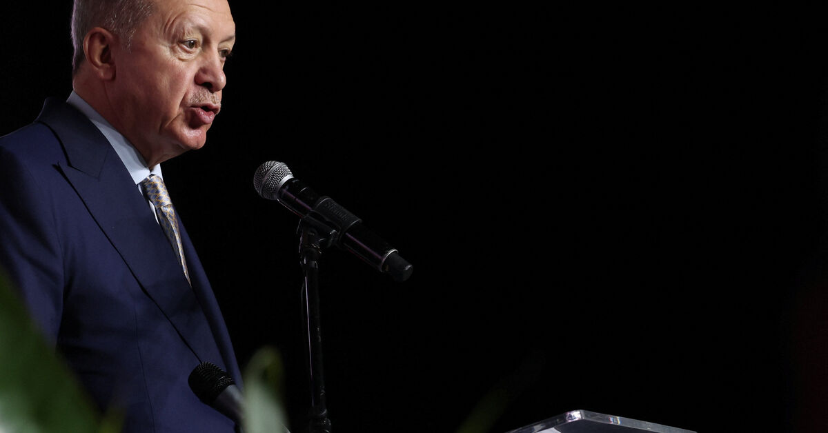 Turkey’s Erdogan says attacks on Black Sea commercial ships unacceptable