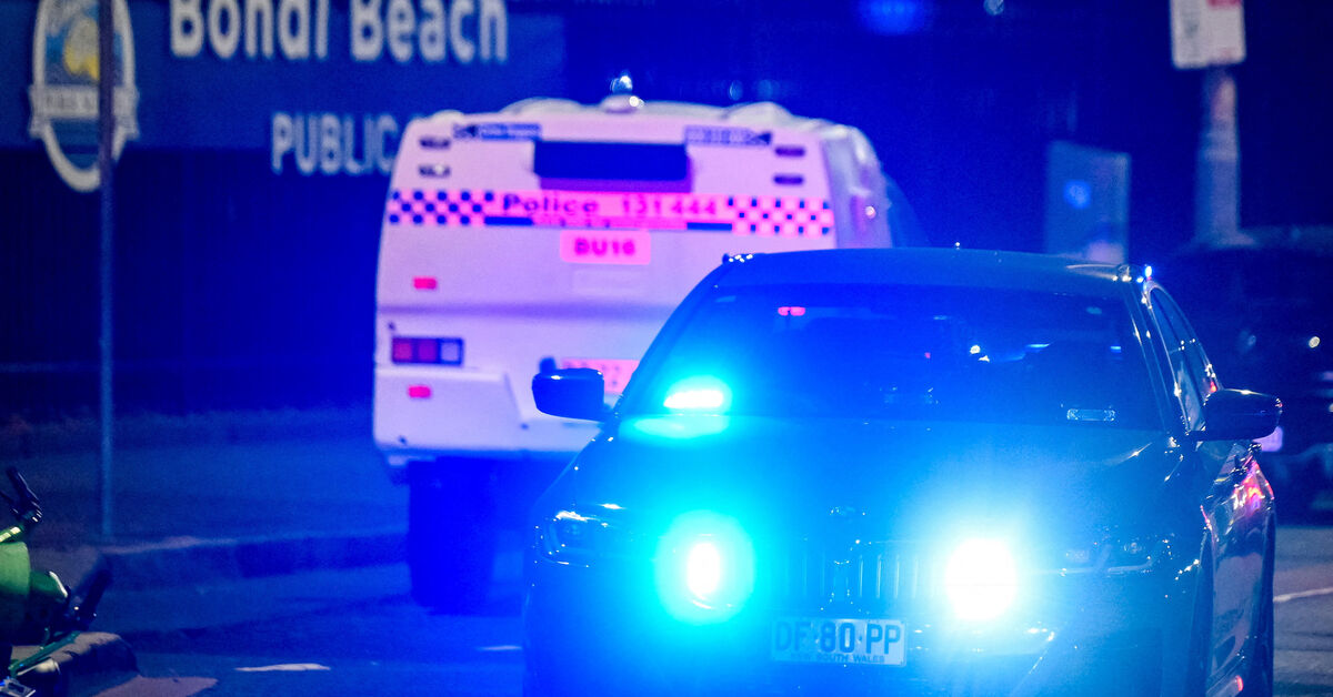 Bystander who tackled armed man at Bondi Beach shooting hailed as hero
