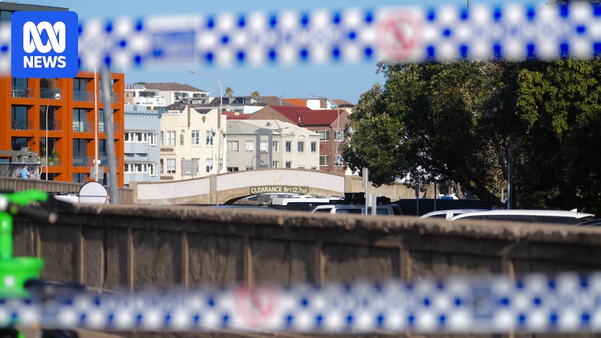 Former senior police officers detail why Bondi Beach terror incident was so difficult to defend
