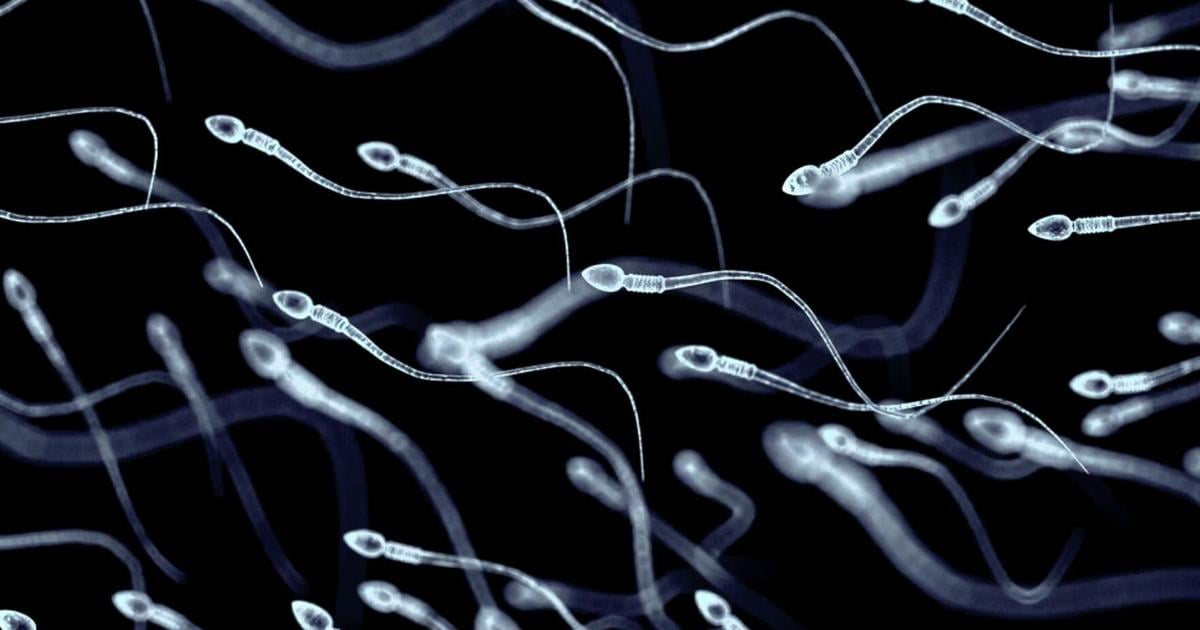 At least 197 children were fathered by sperm donor with cancer-causing gene. Some have already died – WLFI News 18