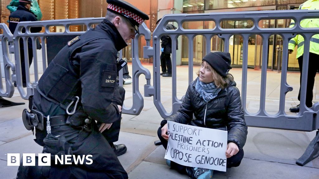 Greta Thunberg arrested over Palestine Action placard