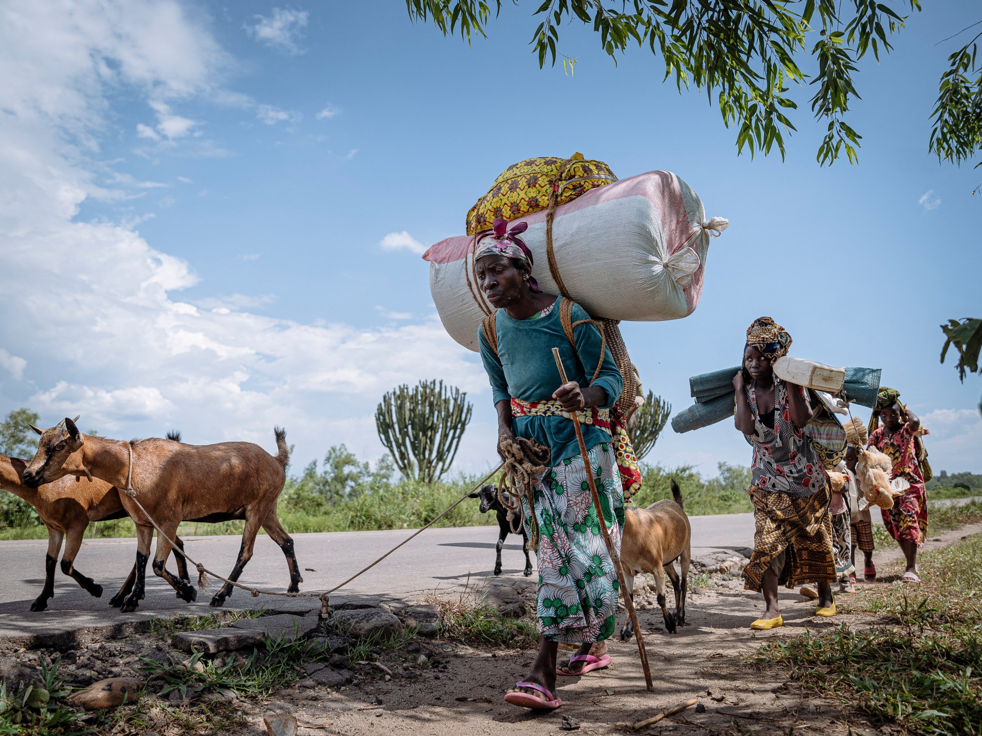 Week in Pictures: From Cambodia-Thailand clashes to protests in Greece | Gaza News