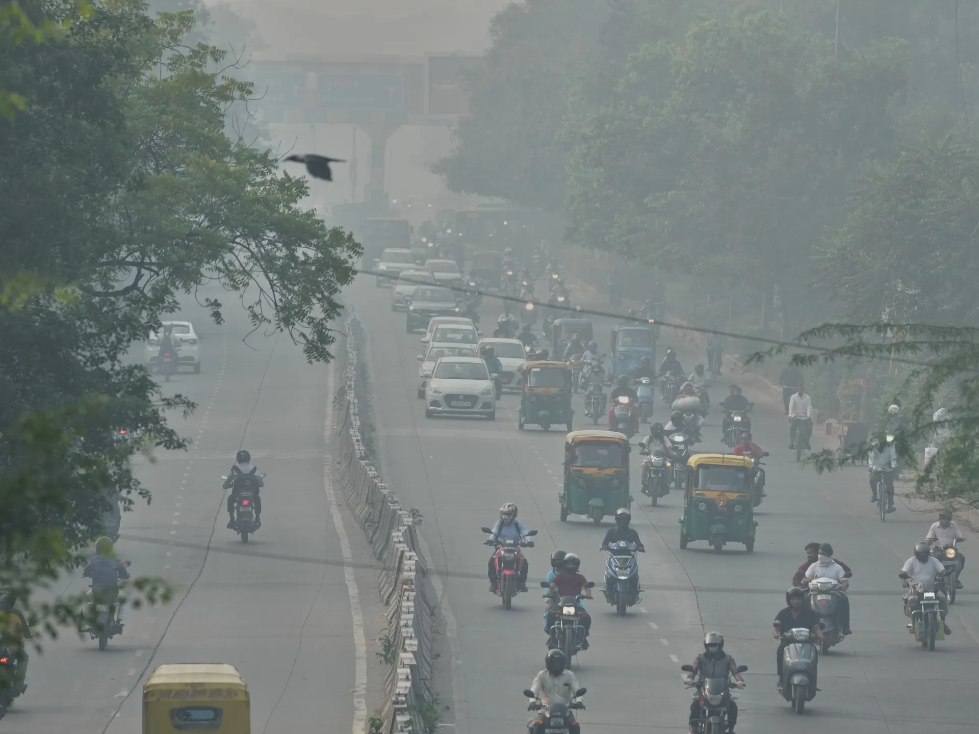 What New Delhi can learn from China’s war on air pollution | Environment