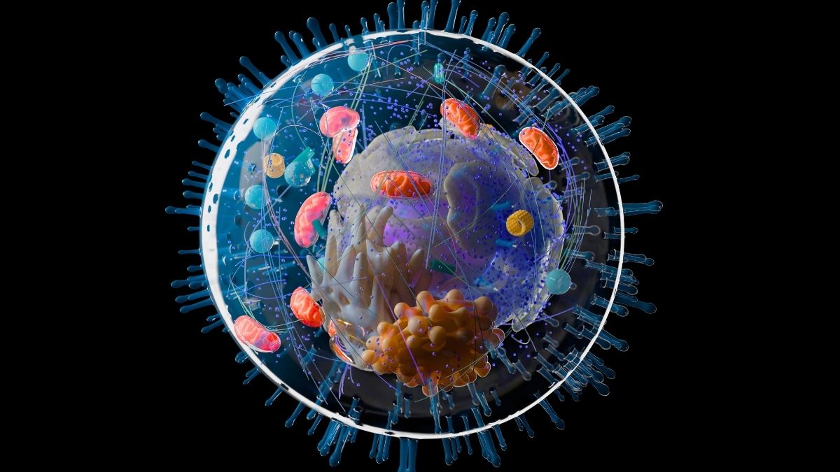 Complex Life May Be a Billion Years Older Than We Thought : ScienceAlert