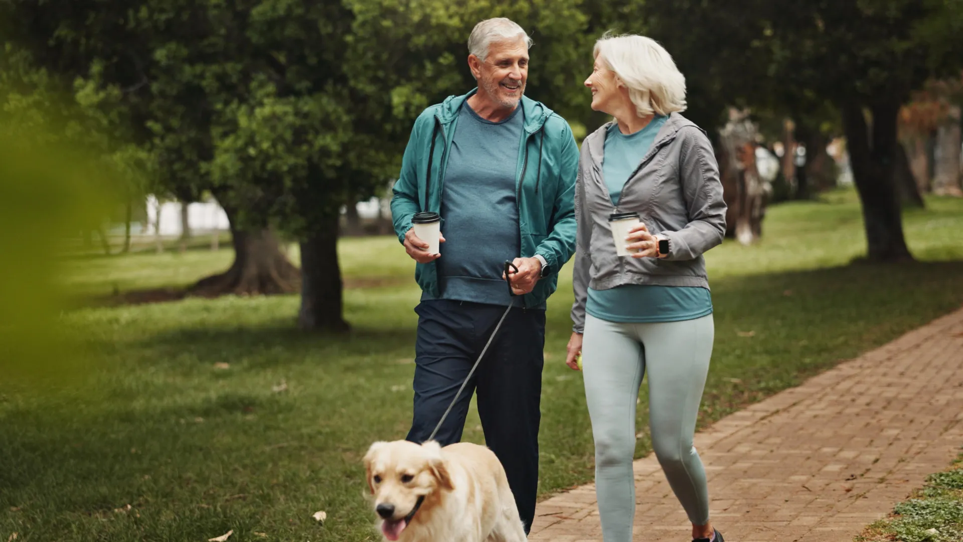 Tea may strengthen bones in older women while heavy coffee weakens them