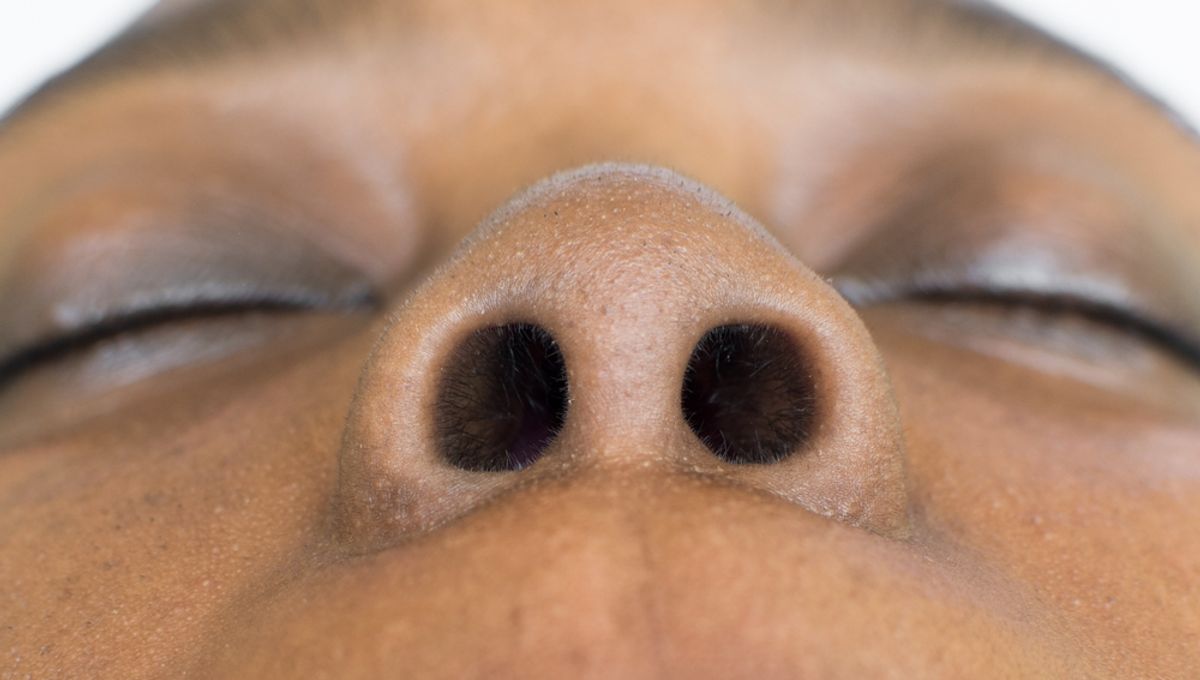 Why Do We Have Two Nostrils, Instead Of One Big Nose Hole?