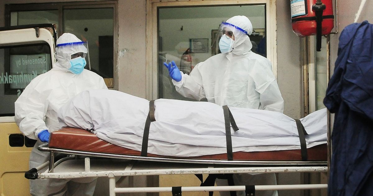 Woman dies from Nipah as brain-swelling virus feared to be next pandemic