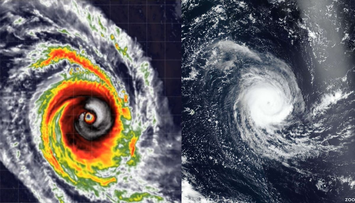 Latest forecast & risks explained