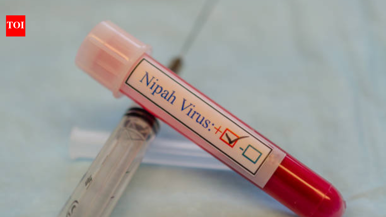 Nipah Symptoms: Nipah cases in India: Experts explain the sneaky symptoms, and deadly risks we are not aware of |