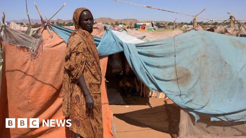 Sudan atrocities are 'hallmarks of genocide', UN says – BBC