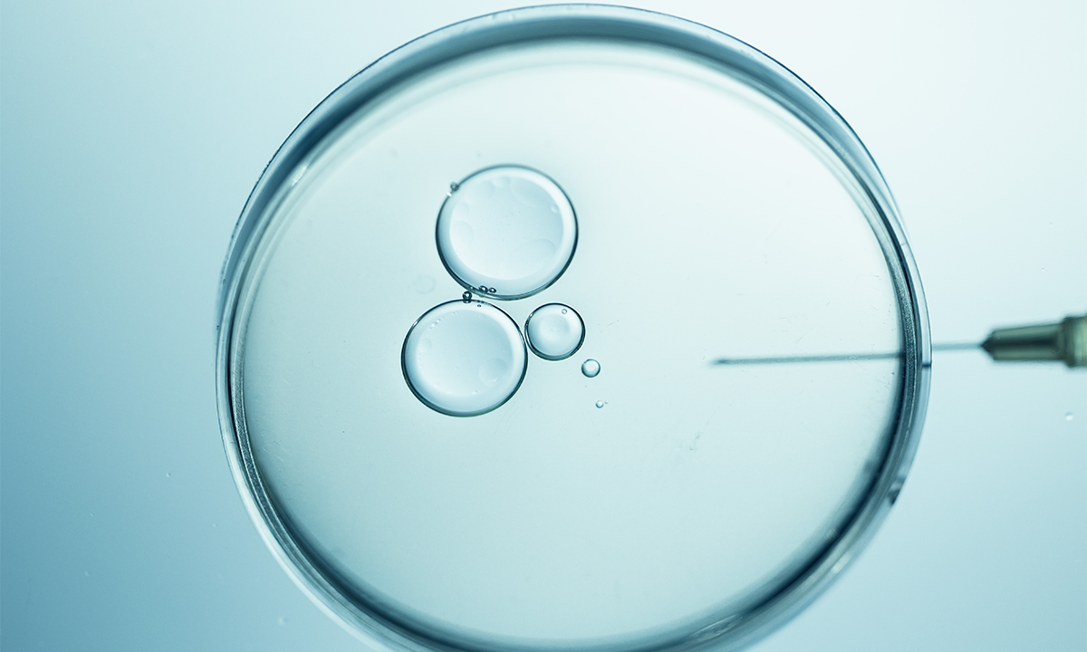 The Woman Who Paved the Way for IVF