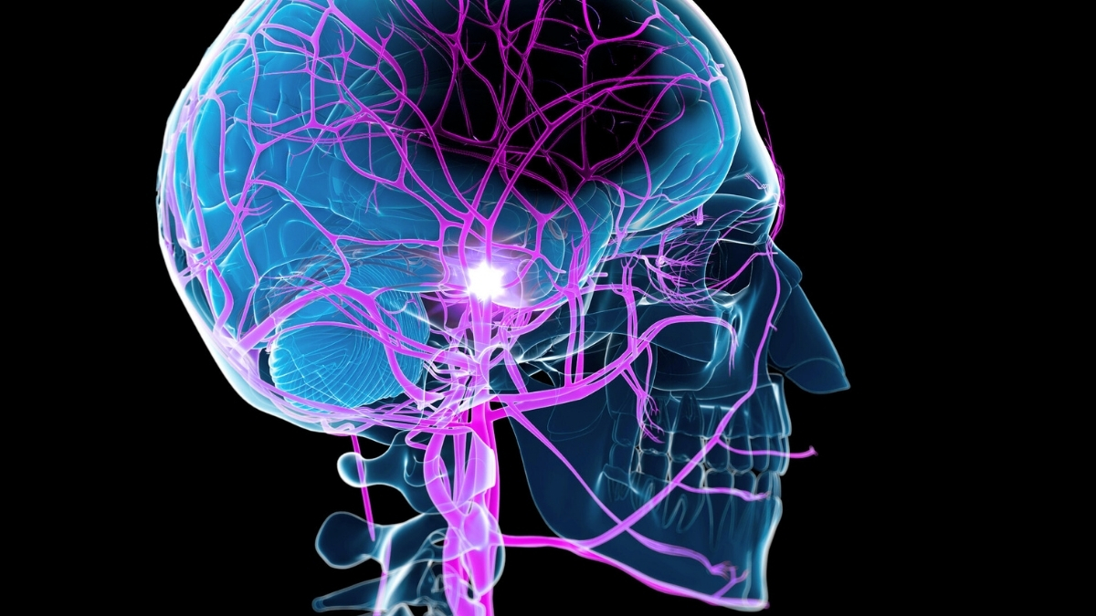 Study Reveals an Unexpected Way to Boost Recovery After a Stroke : ScienceAlert