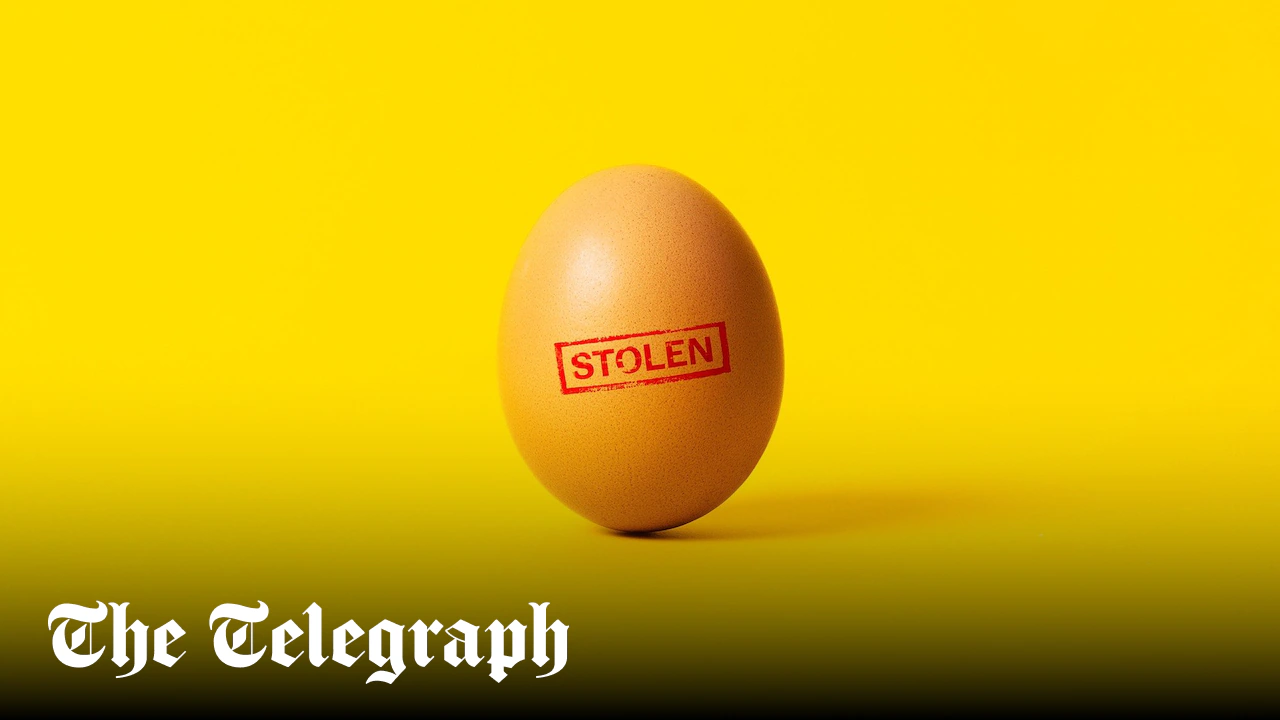Shoppers are stealing Clarence Court eggs. But are they really worth it?