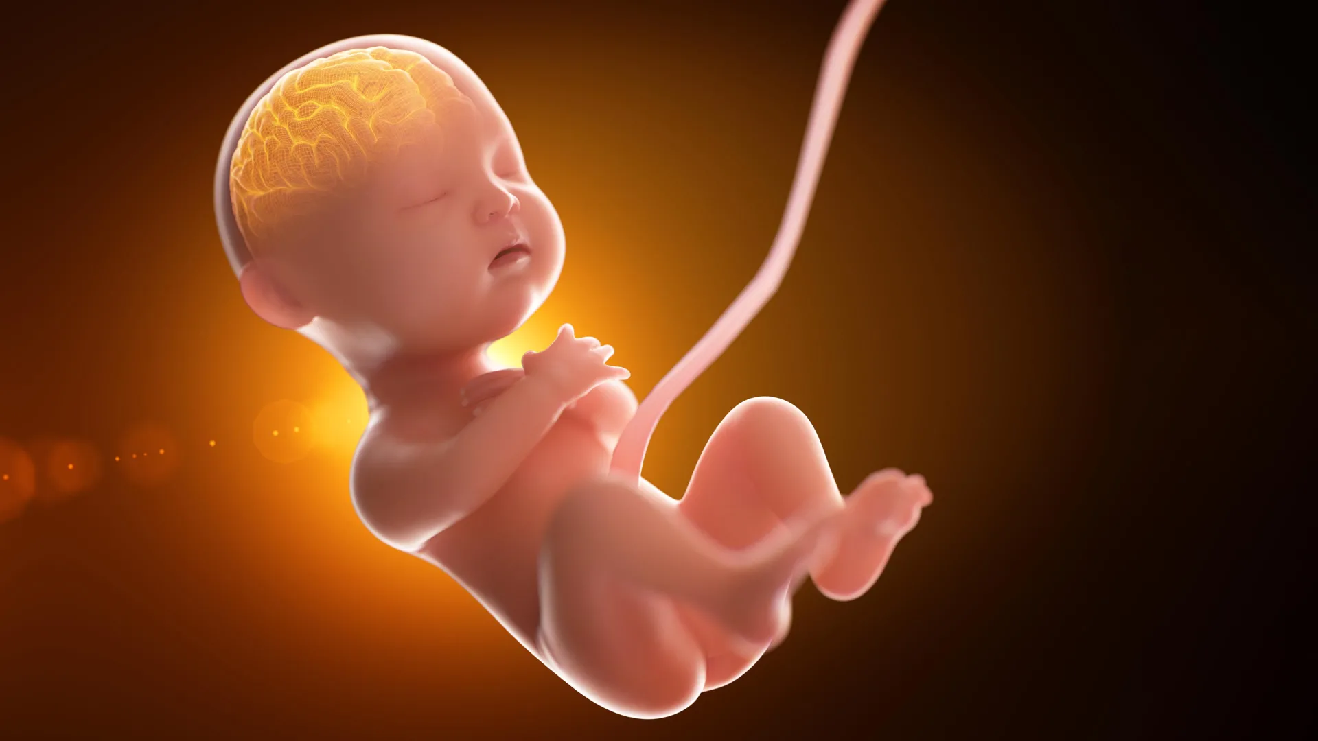 Babies exposed to far more “forever chemicals” before birth than scientists knew