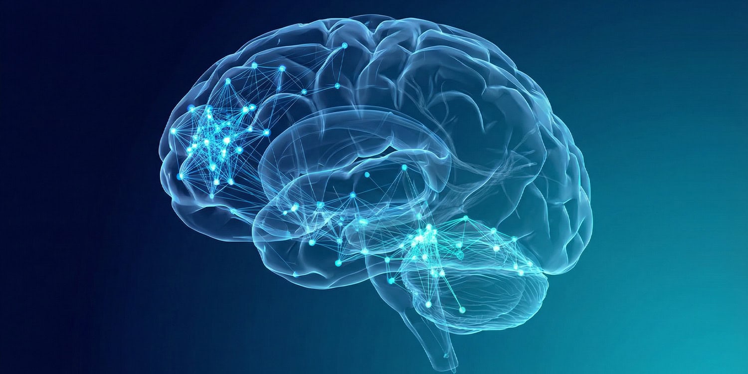 Alcohol shifts the brain into a fragmented and local state