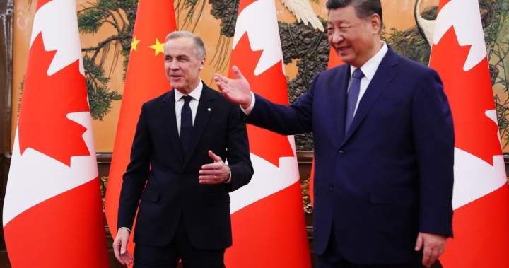 China drops visa requirement for Canadian tourists, business visitors – National