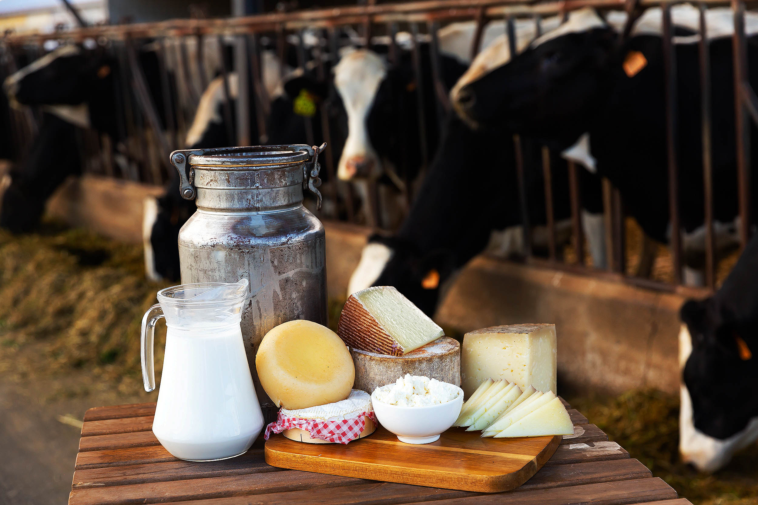 Dairy products are both good and bad for your human health