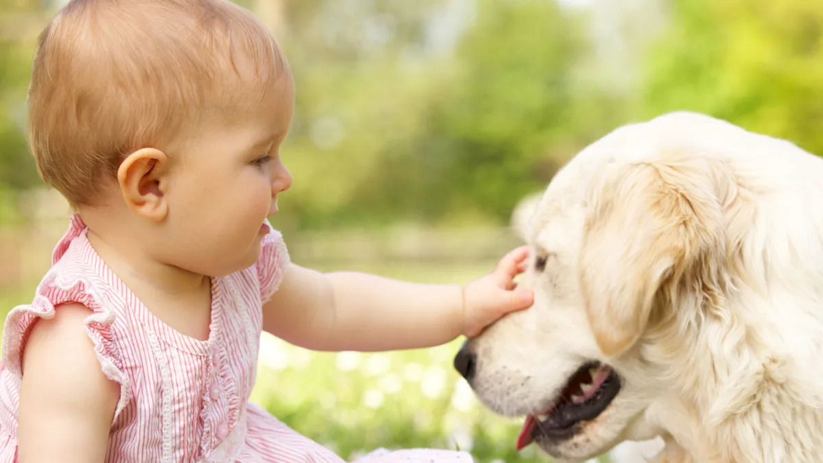 Golden Retriever Puppy’s Bond With Baby Will Melt Your Heart