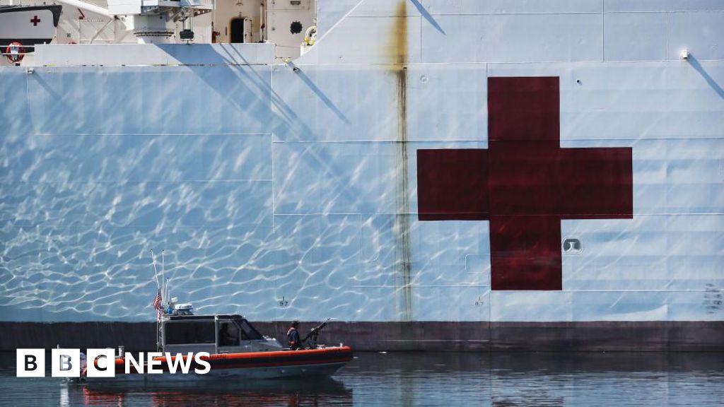 Greenland says 'no thanks' to Trump US hospital boat – BBC