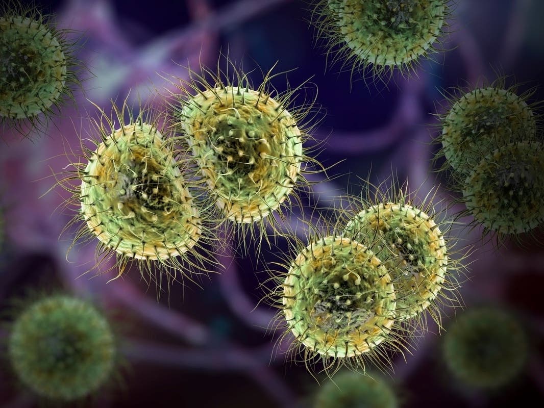 Meningococcal Disease Kills 2 Amid Cluster Of Cases In Chicago: Authorities