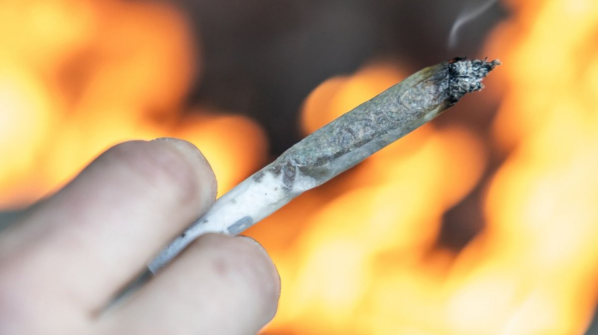 Horrifying simulation shows what happens to your body if you smoke weed every day