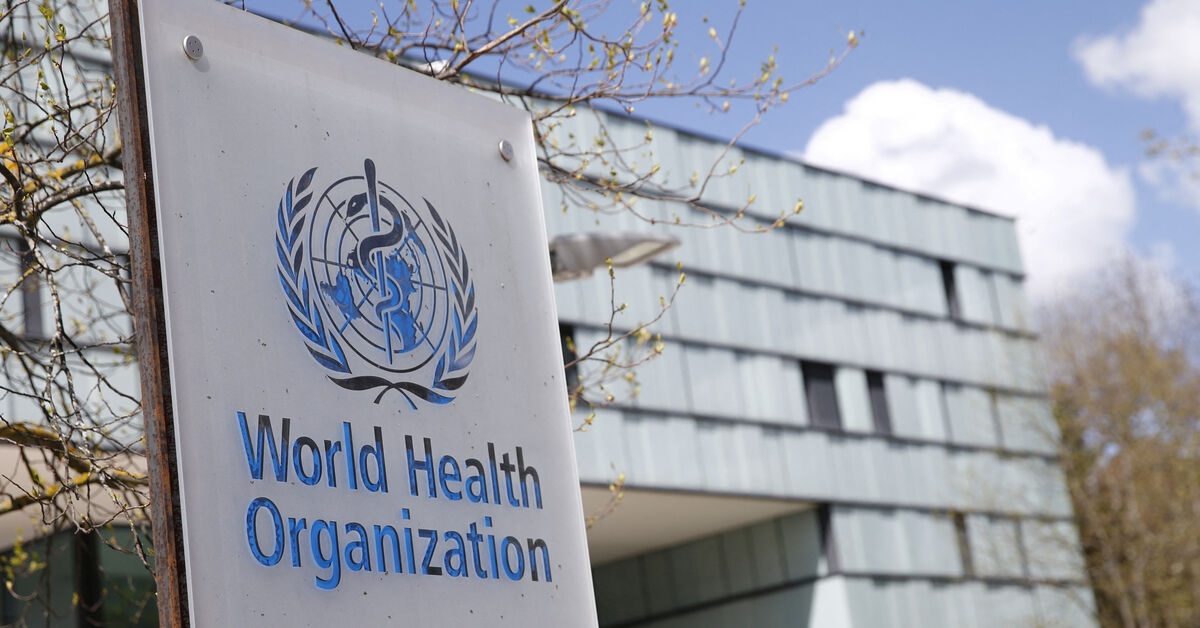 Four medics killed in Iran, ambulances damaged, WHO says