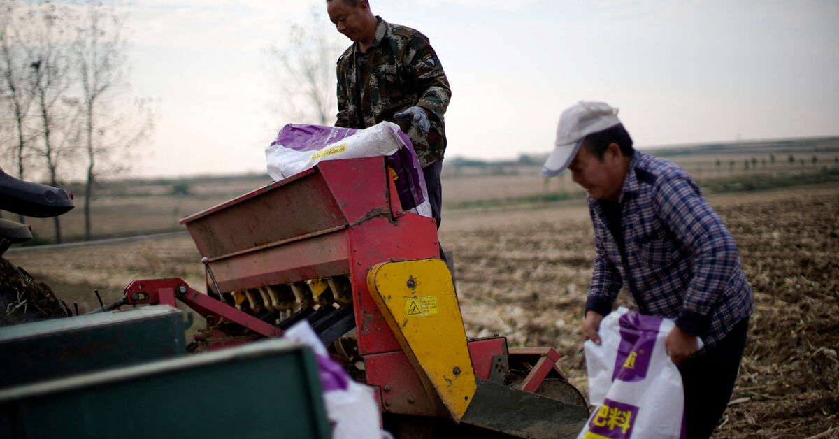 Explainer-How does the Iran war affect fertiliser supplies, prices and food security?