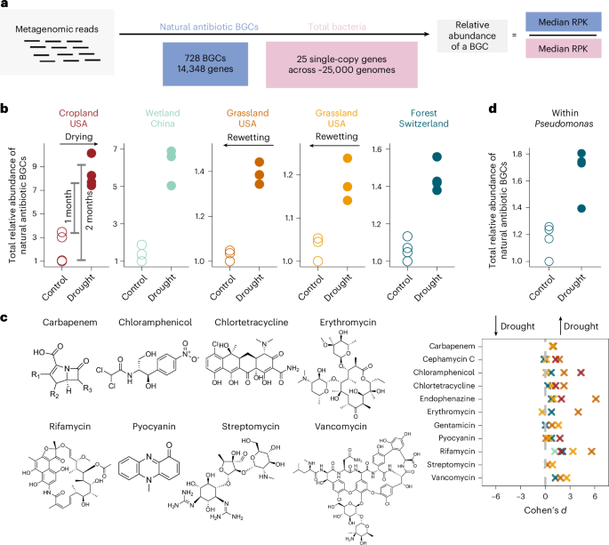Drought drives elevated antibiotic resistance across soils