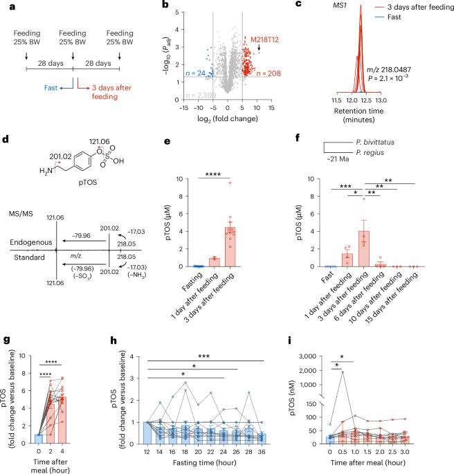 Python metabolomics uncovers a conserved postprandial metabolite and gut–brain feeding pathway