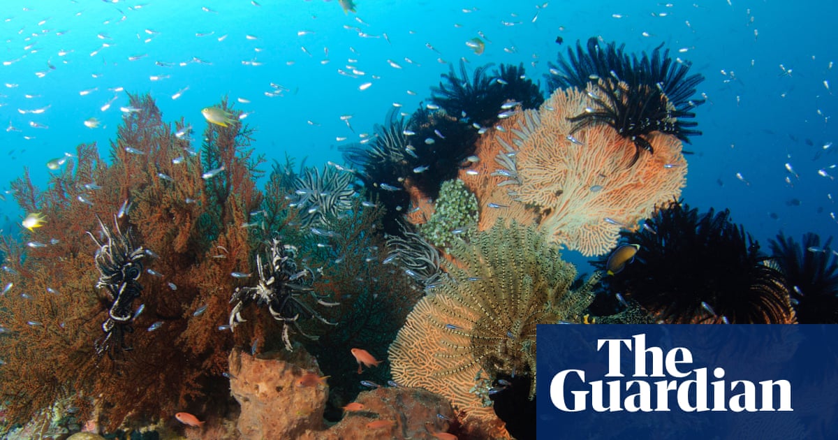 Earth being ‘pushed beyond its limits’ as energy imbalance reaches record high | Oceans