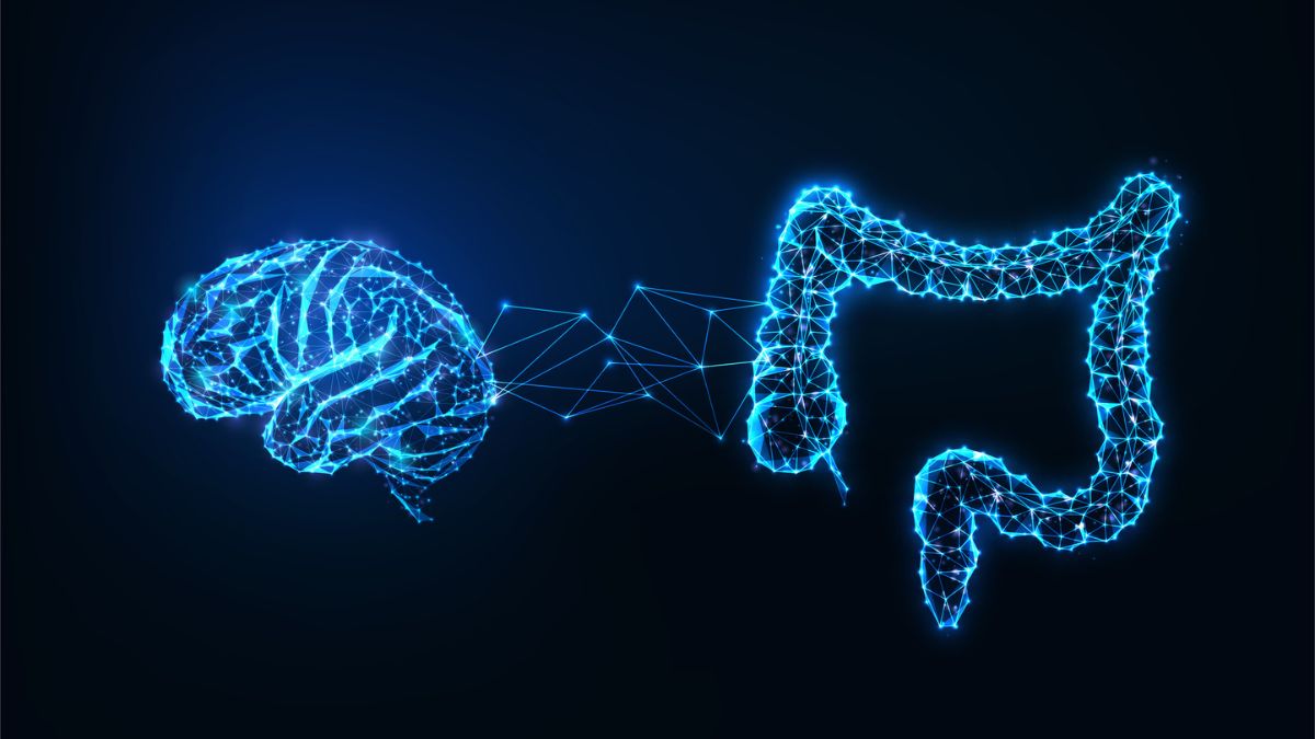 Your Gut-Brain Link May Offer a New Way to Fight Cognitive Decline : ScienceAlert