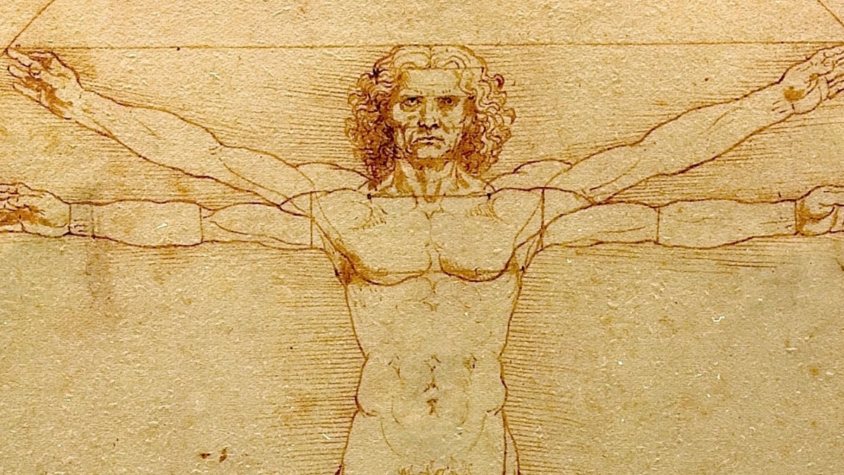 Hidden Crotch Detail Solves a 500-Year-Old Leonardo Da Vinci Mystery : ScienceAlert
