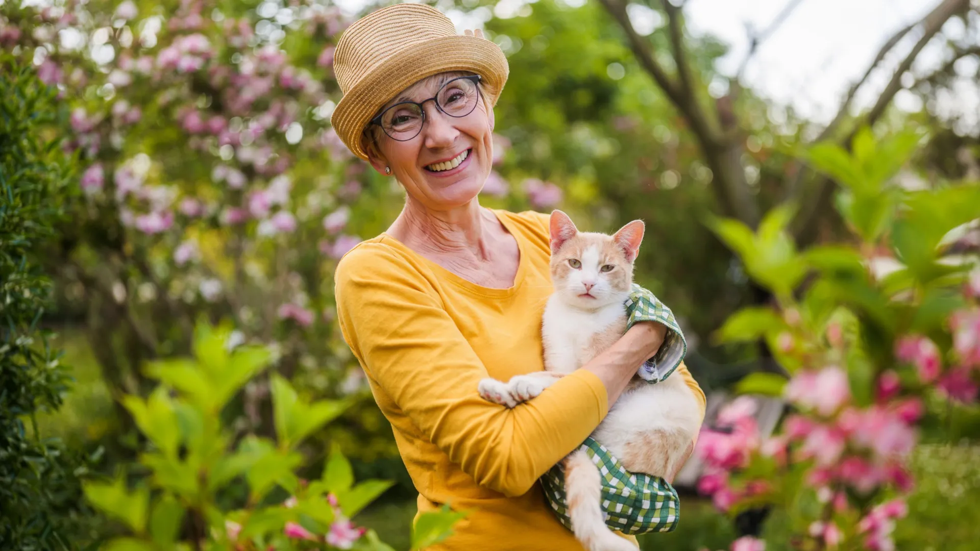 The surprising cancer link between cats and humans