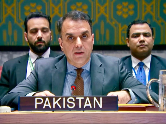Pakistan condemns Israeli attacks on Lebanon at UNSC meeting