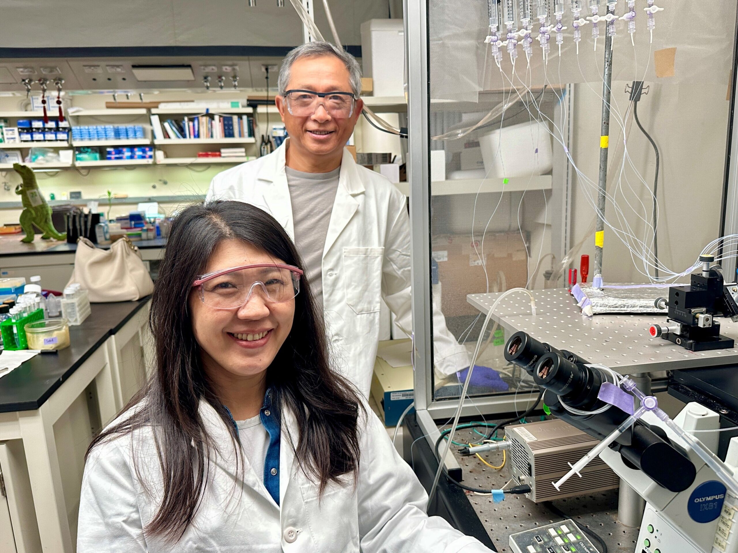 Cold skin, hot heart, one gene: Hidden temperature switch decides where disease appears