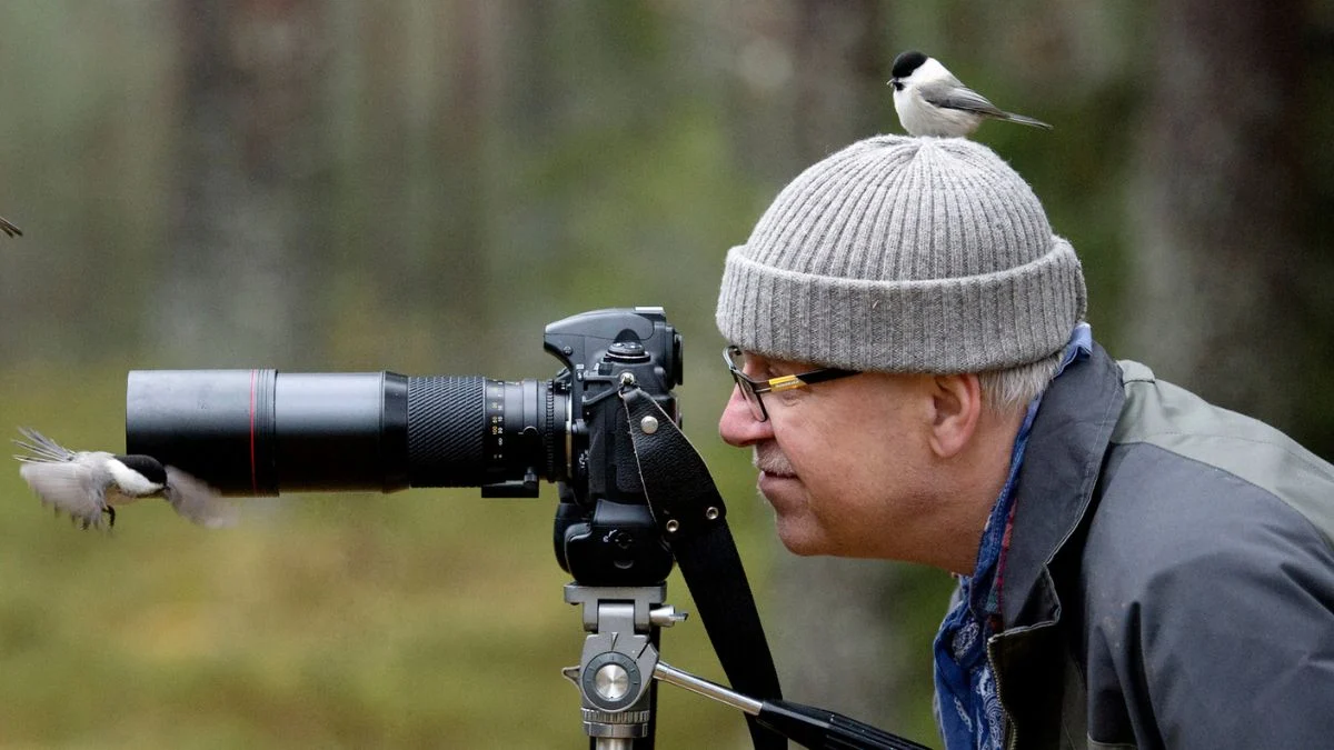 Urban Birds Appear to Fear Women More Than Men, But Why? : ScienceAlert