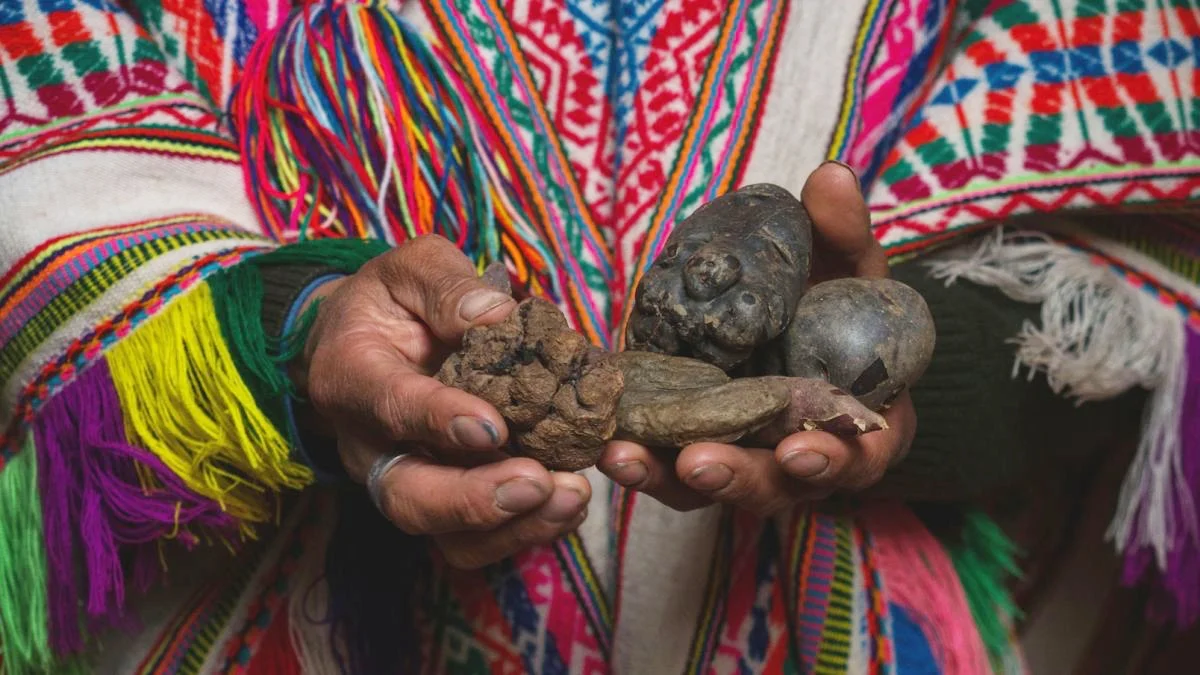 Humans in The Andes Have Evolved a Strange Digestive Superpower : ScienceAlert