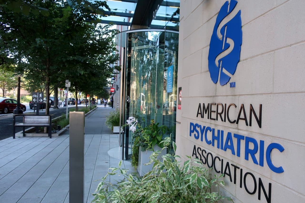 Why did the American Psychiatric Association cancel my Humanitarian Award Lecture on Gaza? – Mondoweiss
