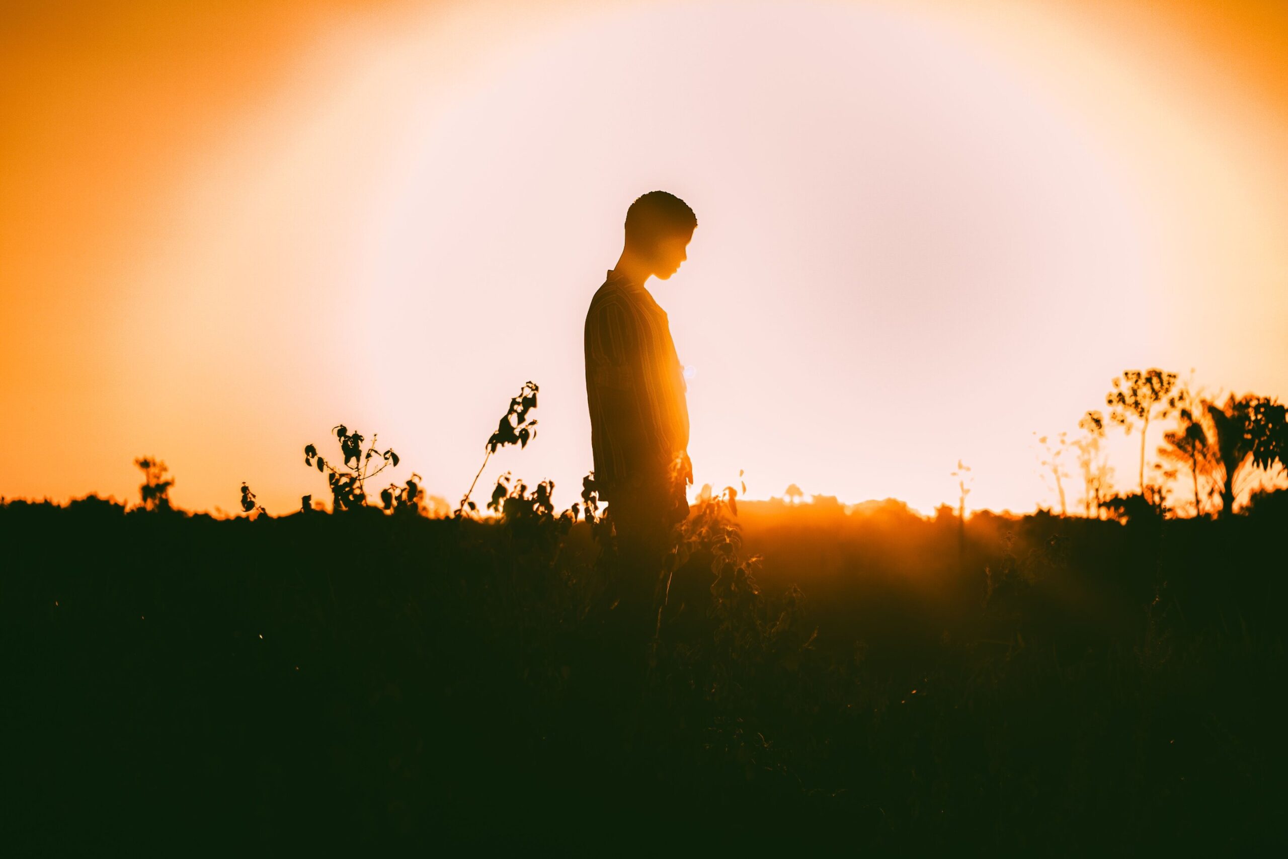 Summer sun fails to fix vitamin D gap in at risk groups