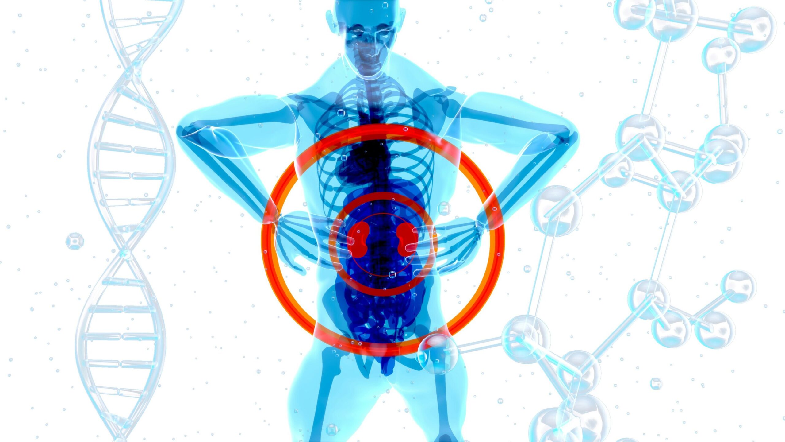 Experimental drug combination shows early effectiveness in advanced kidney cancer