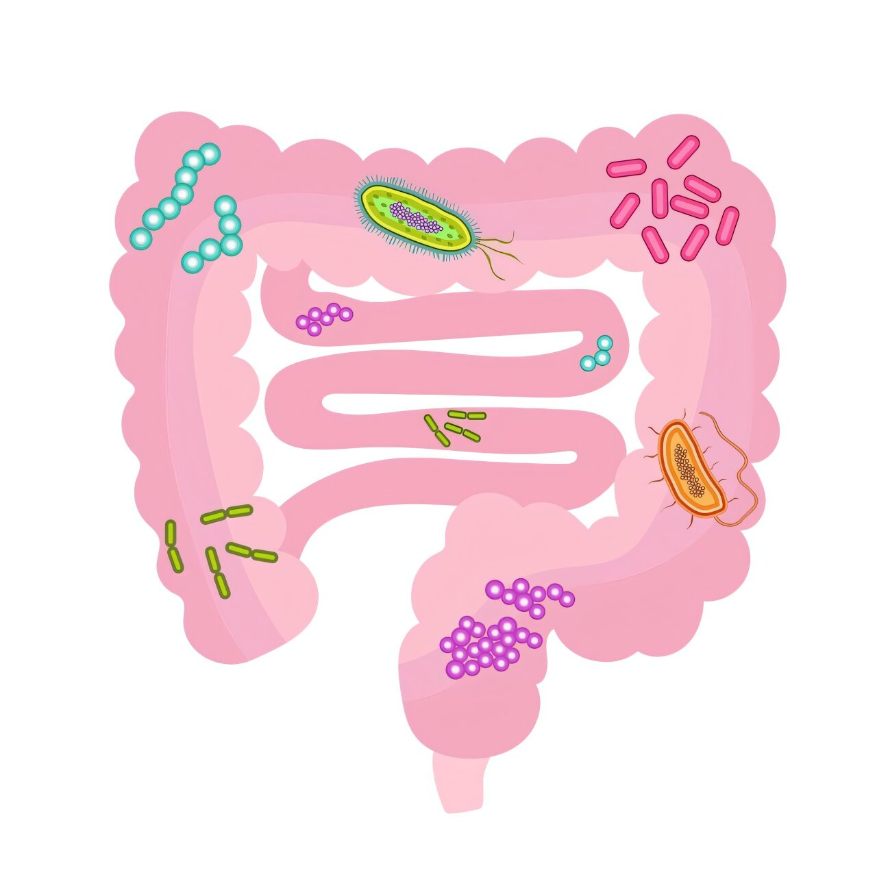 Clarifying the interplay between host and gut microbiota in selenium metabolism