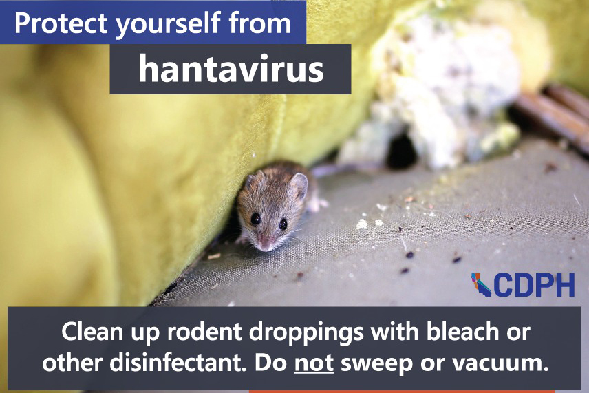 Local Health Officials Warn Of Hantavirus Dangers