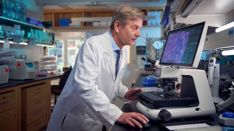 A healthier gut may be key to cancer care