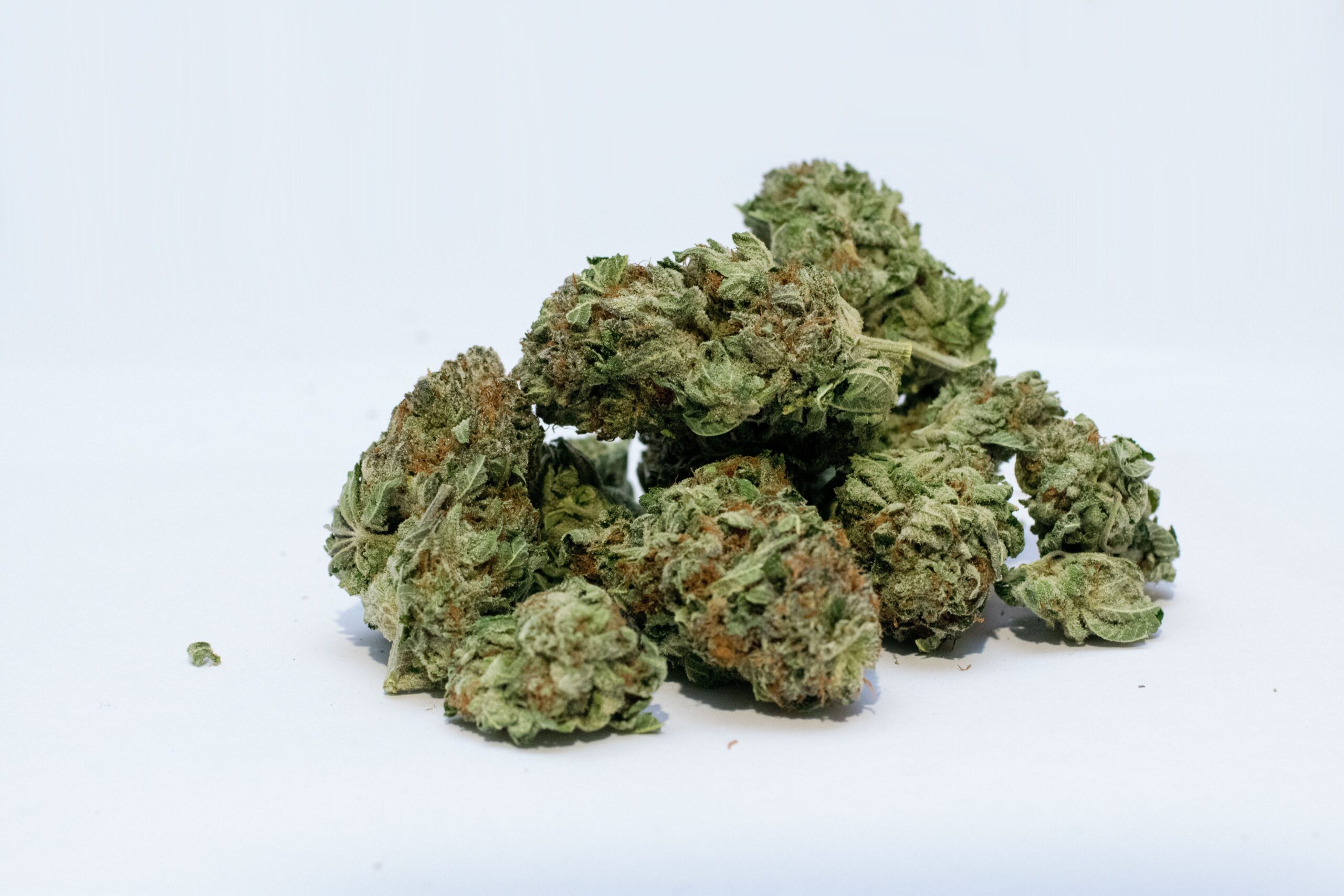 Moderate Cannabis Use Has No Impact on Adult Brains