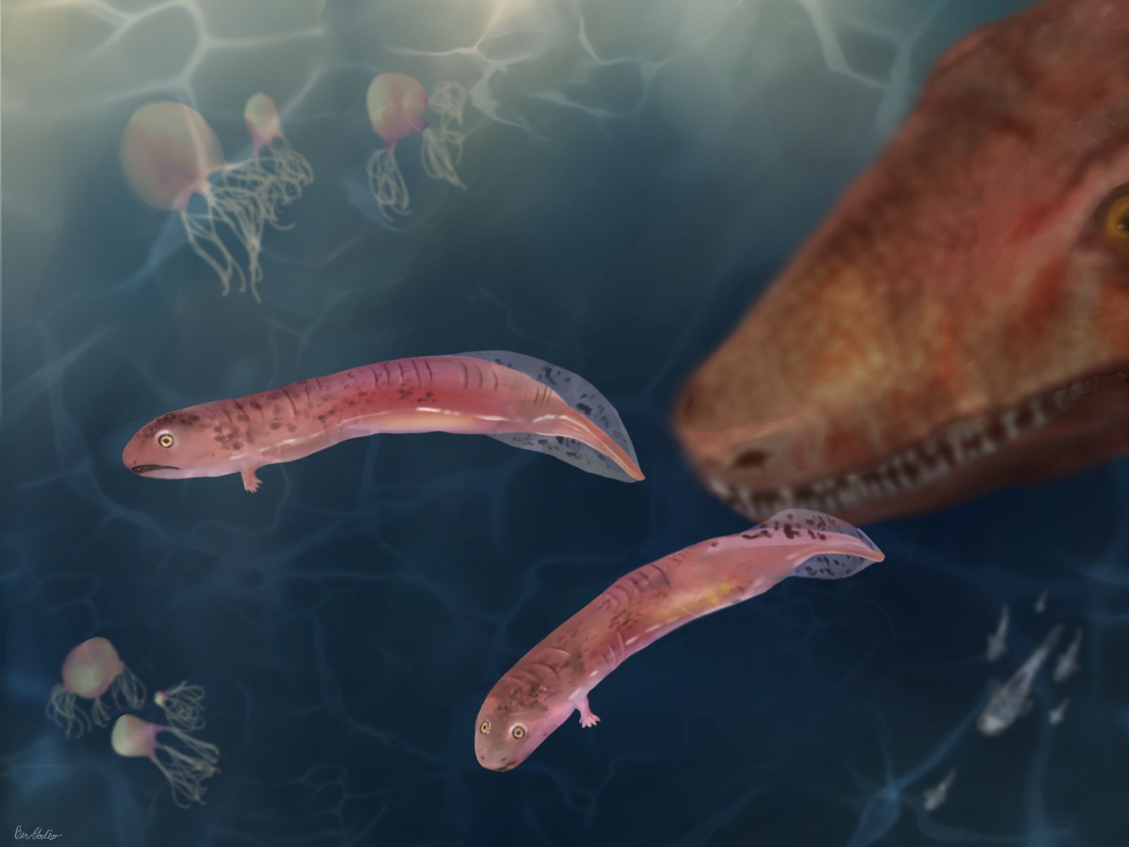 A Vietnam Veteran Collected Fossils for 66 Years. One, Mislabeled ‘Baby Lamprey,’ Made Paleontologists Reconsider How Vertebrates Moved From Water to Land