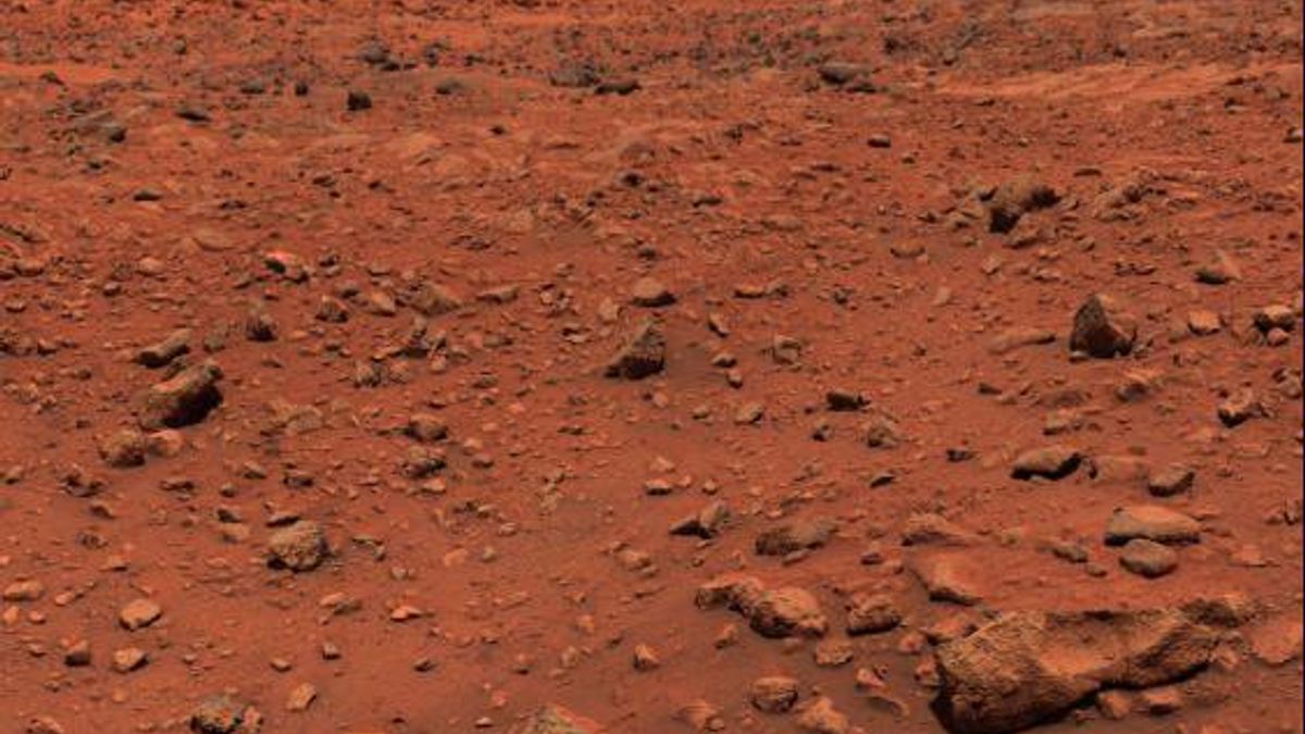 NASA’s Viking I Landed on Mars 50 Years Ago and Transformed the Search for Life