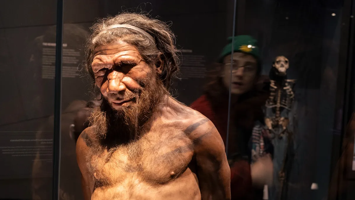 Could we ever clone Neanderthals?