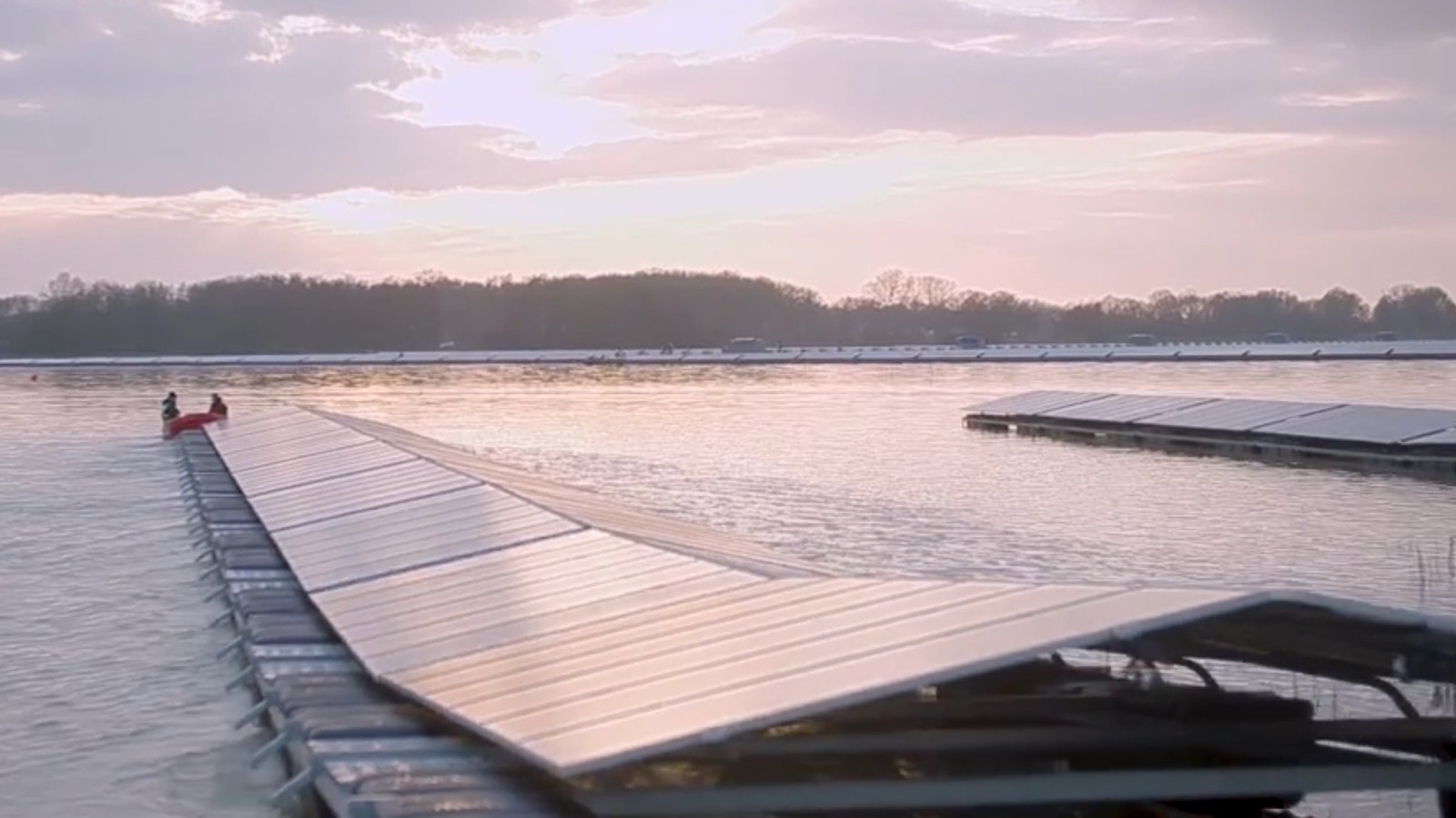 A Floating Solar Farm In The Netherlands Is Having A Big Effect On Underwater Habitats